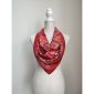 Paisley rubin-coperta