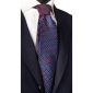 Cravată-Albastru-Fucsia-Fuchsia-Alb-Nod-în-Contrast-Mov-Albastru-Fantezie- N2890
