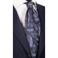 Cravata-de-Matase-Albastru-Navy-Efect-Iridiscent-Paisley-Albastru-Bej- AN5582