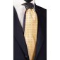Cravatta-Gialla-Fantasia-Blu-Nodo-in-Contrasto-Blu-a-Pois-Gialli-N2632
