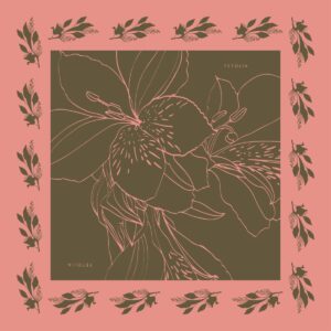 Batic-the-magnificient-alstroemeria-olive-roz