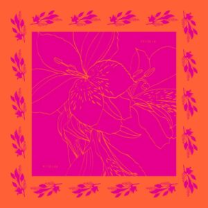 Batic-The-Magnificent-Alstroemeria-Fucsia